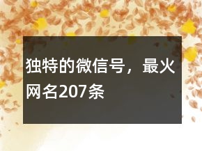 獨(dú)特的微信號(hào)，最火網(wǎng)名207條