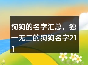 狗狗的名字匯總，獨一無二的狗狗名字211條