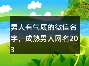男人有氣質(zhì)的微信名字，成熟男人網(wǎng)名203條