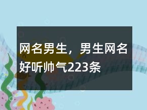 網(wǎng)名男生，男生網(wǎng)名好聽帥氣223條