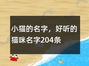 小貓的名字，好聽(tīng)的貓咪名字204條