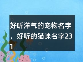 好聽洋氣的寵物名字，好聽的貓咪名字231條