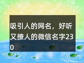 吸引人的網(wǎng)名，好聽(tīng)又撩人的微信名字230條