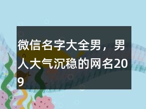 微信名字大全男，男人大氣沉穩(wěn)的網(wǎng)名209條