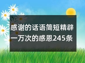 感謝的話語簡(jiǎn)短精辟一萬次的感恩245條