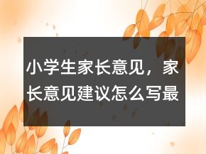 小學(xué)生家長(zhǎng)意見(jiàn)，家長(zhǎng)意見(jiàn)建議怎么寫(xiě)最簡(jiǎn)單231條