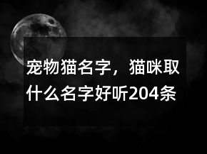 寵物貓名字，貓咪取什么名字好聽(tīng)204條