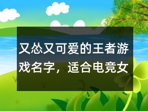 又慫又可愛的王者游戲名字，適合電競女孩的網(wǎng)名200條