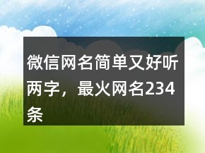 微信網(wǎng)名簡(jiǎn)單又好聽(tīng)兩字，最火網(wǎng)名234條