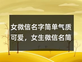 女微信名字簡(jiǎn)單氣質(zhì)可愛(ài)，女生微信名簡(jiǎn)單可愛(ài)204條