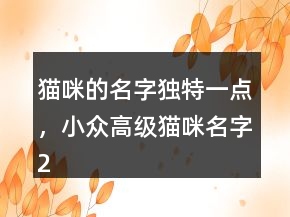 貓咪的名字獨(dú)特一點(diǎn)，小眾高級貓咪名字242條