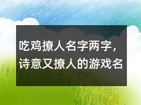 吃雞撩人名字兩字，詩意又撩人的游戲名字250條