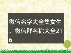 微信名字大全集女生，微信群名稱大全216條