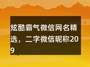 炫酷霸氣微信網(wǎng)名精選，二字微信昵稱209條