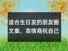 適合生日發(fā)的朋友圈文案，高情商祝自己生日快樂207條