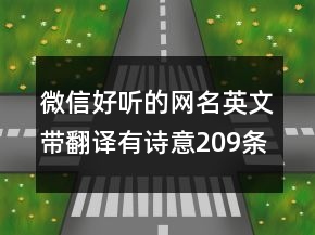 微信好聽的網(wǎng)名英文帶翻譯有詩意209條