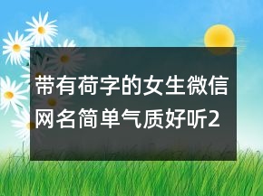 帶有荷字的女生微信網名簡單氣質好聽207條