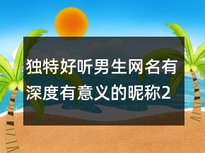 獨(dú)特好聽(tīng)男生網(wǎng)名有深度有意義的昵稱(chēng)211條