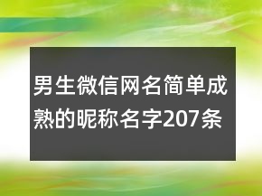 男生微信網(wǎng)名簡單成熟的昵稱名字207條
