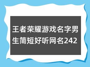 王者榮耀游戲名字男生簡短好聽網(wǎng)名242條
