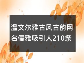 溫文爾雅古風(fēng)古韻網(wǎng)名儒雅吸引人210條