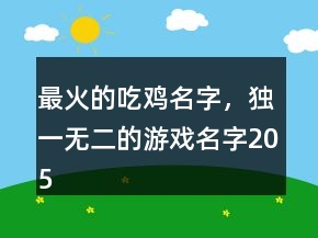 最火的吃雞名字，獨(dú)一無二的游戲名字205條