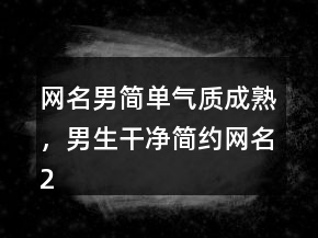 網(wǎng)名男簡單氣質(zhì)成熟，男生干凈簡約網(wǎng)名223條