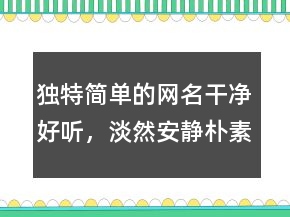 獨特簡單的網(wǎng)名干凈好聽，淡然安靜樸素的網(wǎng)名223條