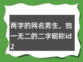 兩字的網(wǎng)名男生，獨(dú)一無(wú)二的二字昵稱id232條