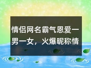 情侶網(wǎng)名霸氣恩愛一男一女，火爆昵稱情侶230條