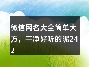 微信網(wǎng)名大全簡(jiǎn)單大方，干凈好聽的昵242條