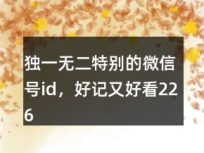 獨一無二特別的微信號id，好記又好看226條