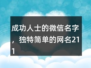 成功人士的微信名字，獨特簡單的網(wǎng)名211條