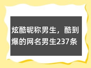 炫酷昵稱男生，酷到爆的網(wǎng)名男生237條
