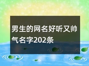 男生的網(wǎng)名好聽又帥氣名字202條