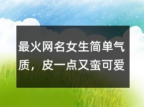 最火網(wǎng)名女生簡單氣質(zhì)，皮一點又蠻可愛的網(wǎng)名229條