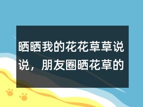 曬曬我的花花草草說說，朋友圈曬花草的說說231條