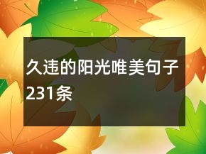 久違的陽光唯美句子231條