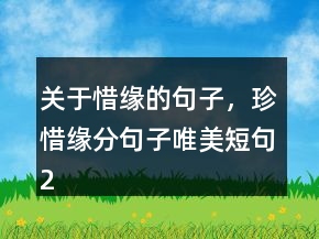 關(guān)于惜緣的句子，珍惜緣分句子唯美短句246條