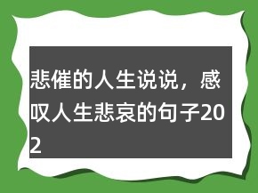 悲催的人生說(shuō)說(shuō)，感嘆人生悲哀的句子202條