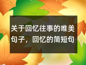關(guān)于回憶往事的唯美句子，回憶的簡(jiǎn)短句子223條