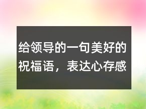 給領(lǐng)導(dǎo)的一句美好的祝福語(yǔ)，表達(dá)心存感激的句子224條