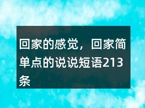 回家的感覺，回家簡單點的說說短語213條
