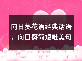 向日葵花語(yǔ)經(jīng)典話(huà)語(yǔ)，向日葵簡(jiǎn)短唯美句子203條