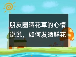 朋友圈曬花草的心情說說，如何發(fā)曬鮮花的朋友圈238條
