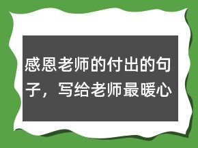 感恩老師的付出的句子，寫給老師最暖心短句208條