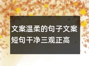 文案溫柔的句子文案短句干凈三觀正高冷215條