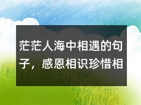 茫茫人海中相遇的句子，感恩相識珍惜相遇語句216條