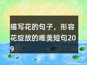 描寫花的句子，形容花綻放的唯美短句209條