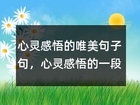 心靈感悟的唯美句子句，心靈感悟的一段話250條